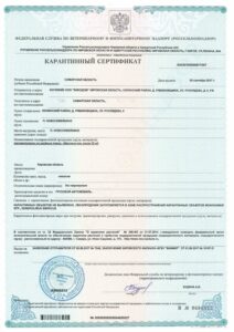 karantinnyi sertifikat